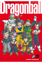 Dragon Ball 29