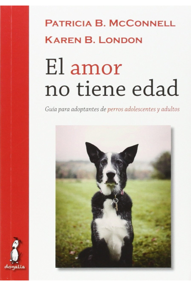 El amor no tiene edad. Guía para adoptantes de perros adolescentes y adultos