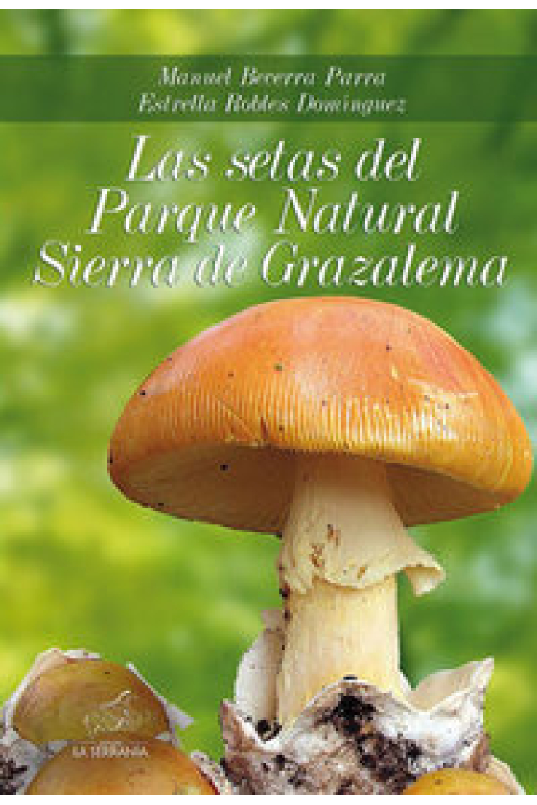 Las setas del Parque Natural Sierra de Grazalema