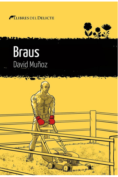 Braus