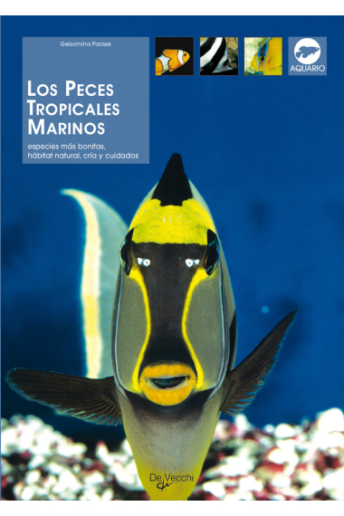 Los Peces  tropicales marinos