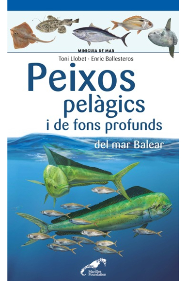 Peixos palègics i de fons profunds del mar balear