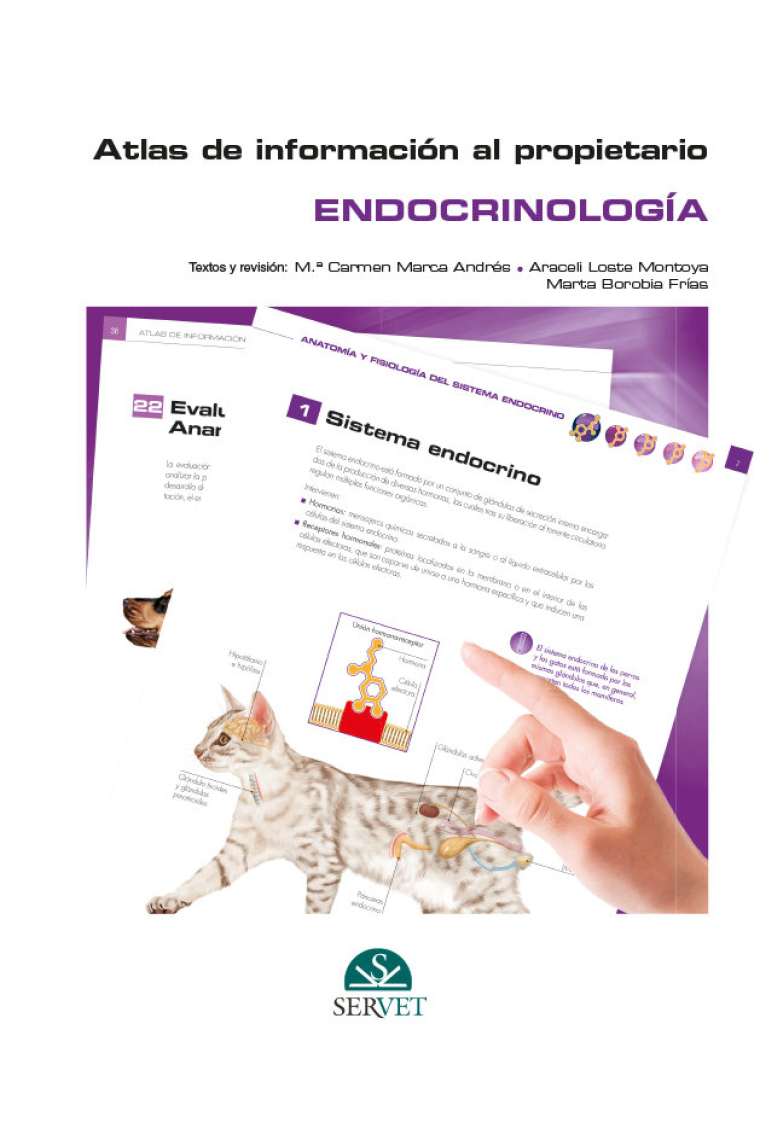 Atlas de información al propietario. Endocrinología