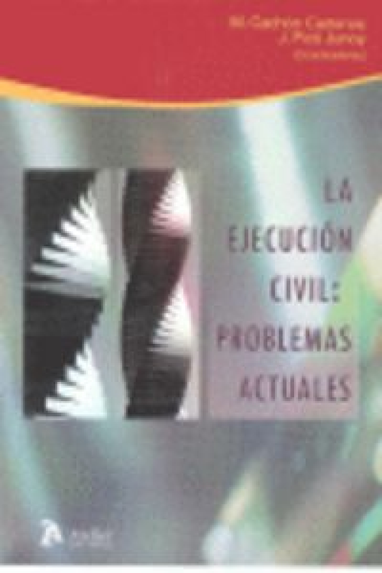 Ejecucion civil: problemas actuales.