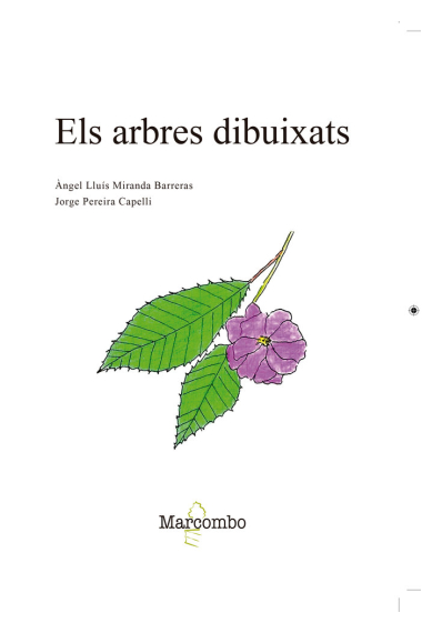 Els arbres dibuixats