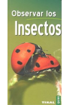 Observar los insectos