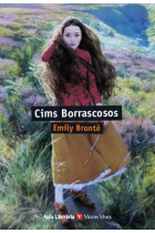 CIMS BORRASCOSOS (AULA LITERARIA)