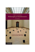 Why is there philosophy of mathematics at all?