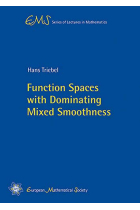 Function Spaces with Dominating Mixed Smoothness (EMS Series of Lectures in Mathematics)