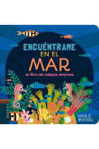 Encuéntrame en el mar