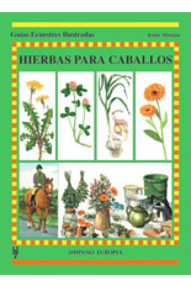 Hierbas para caballos.