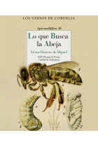 Lo que busca la abeja. XXVI Premio de Poesía Ciudad de Salamanca