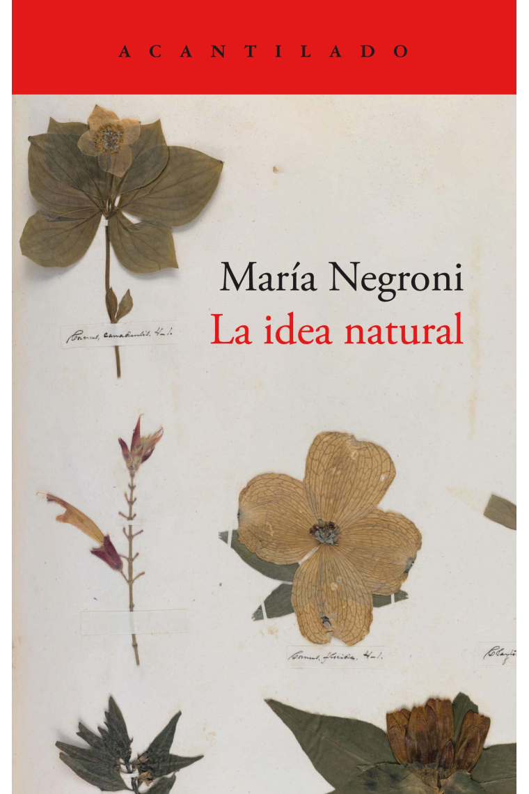 La idea natural