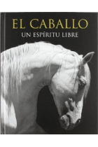 El caballo: un espíritu libre