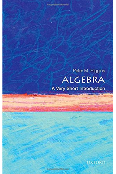 Algebra: A Very Short Introduction (Very Short Introductions)