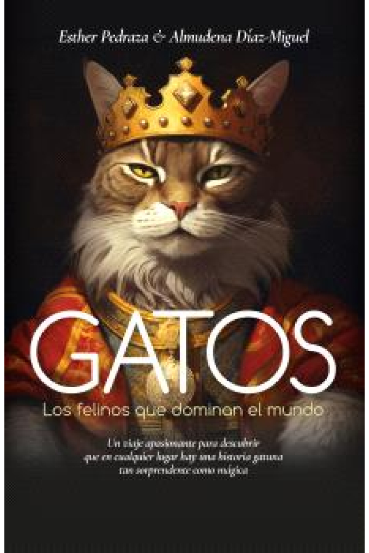 Gatos. Los felinos que dominan el mundo