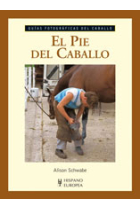 El pie del caballo