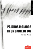 PÁJAROS MOJADOS EN UN CABLE DE LUZ