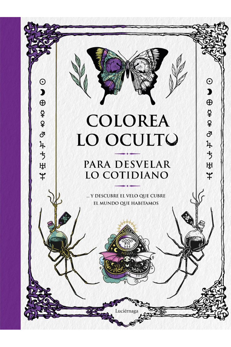 Colorea lo oculto para desvelar lo cotidiano