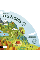 Explora els boscos en 360º