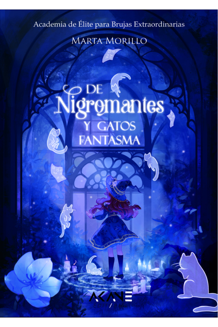 DE NIGROMANTES Y GATOS FANTASMA