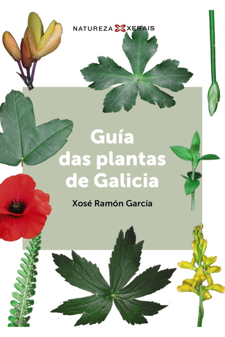 GUIA DAS PLANTAS DE GALICIA