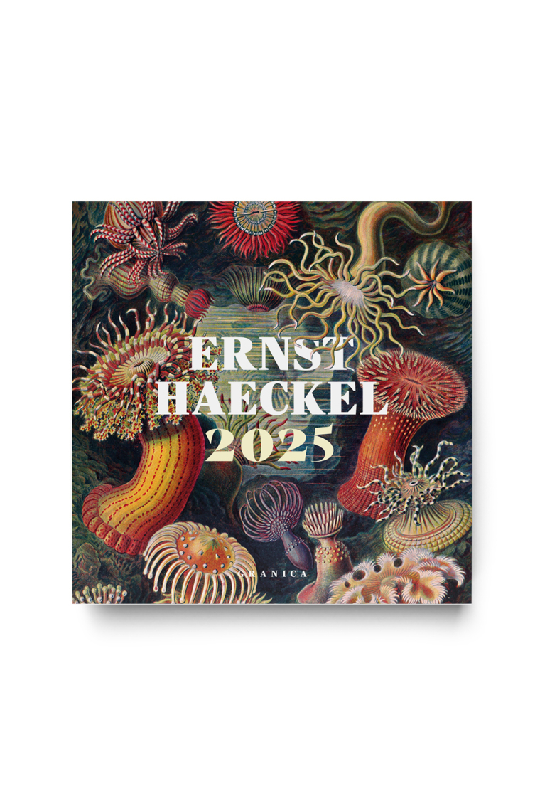 Ernst Haeckel 2025, Calendario de Pared