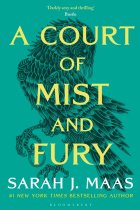 A Court of Mist and Fury  (A Court of Thorns and Roses #2)