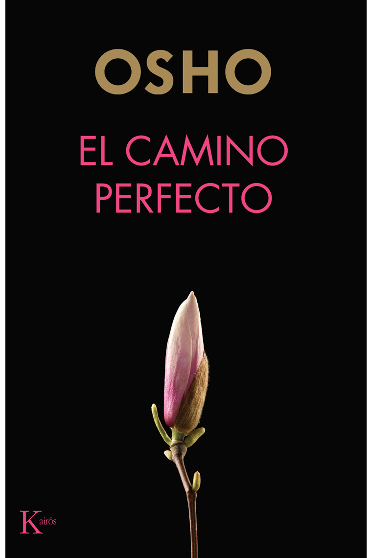 El camino perfecto