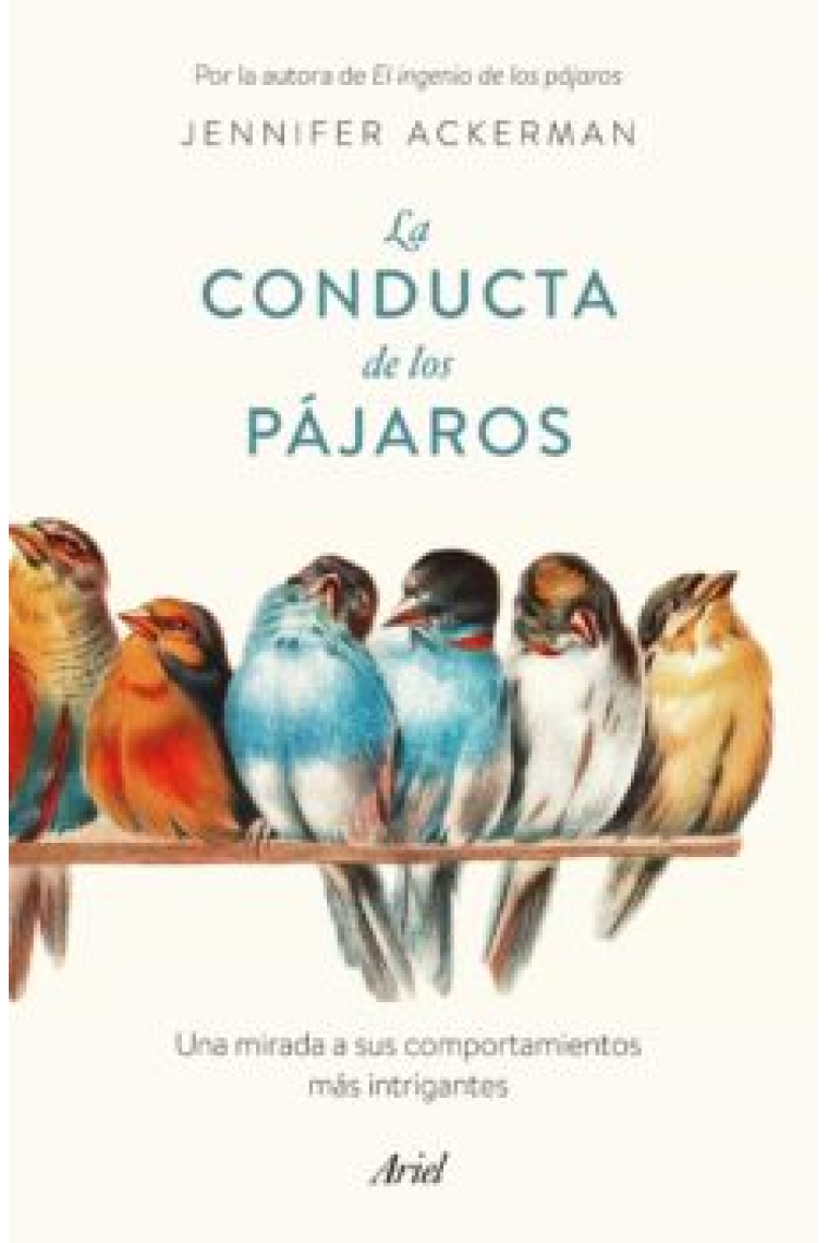 La conducta de los pájaros. Una mirada a sus comportamientos más intrigantes