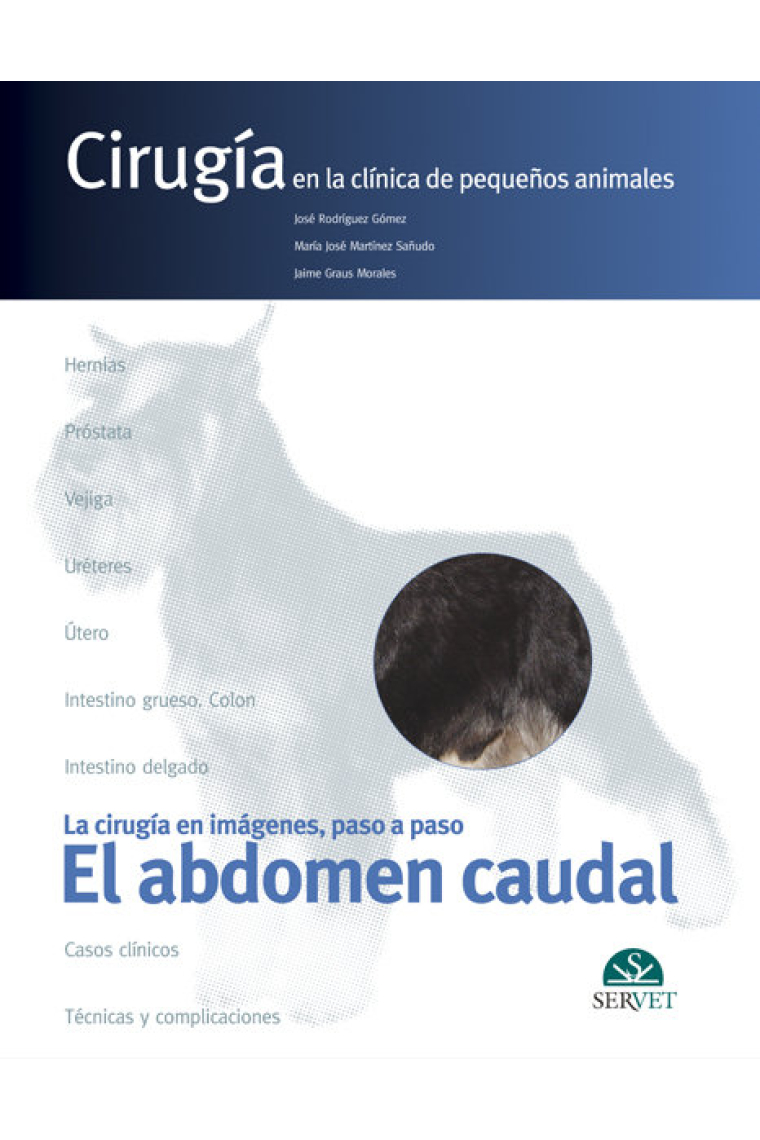 El abdomen caudal. Cirugía en la clínica de pequeños animales