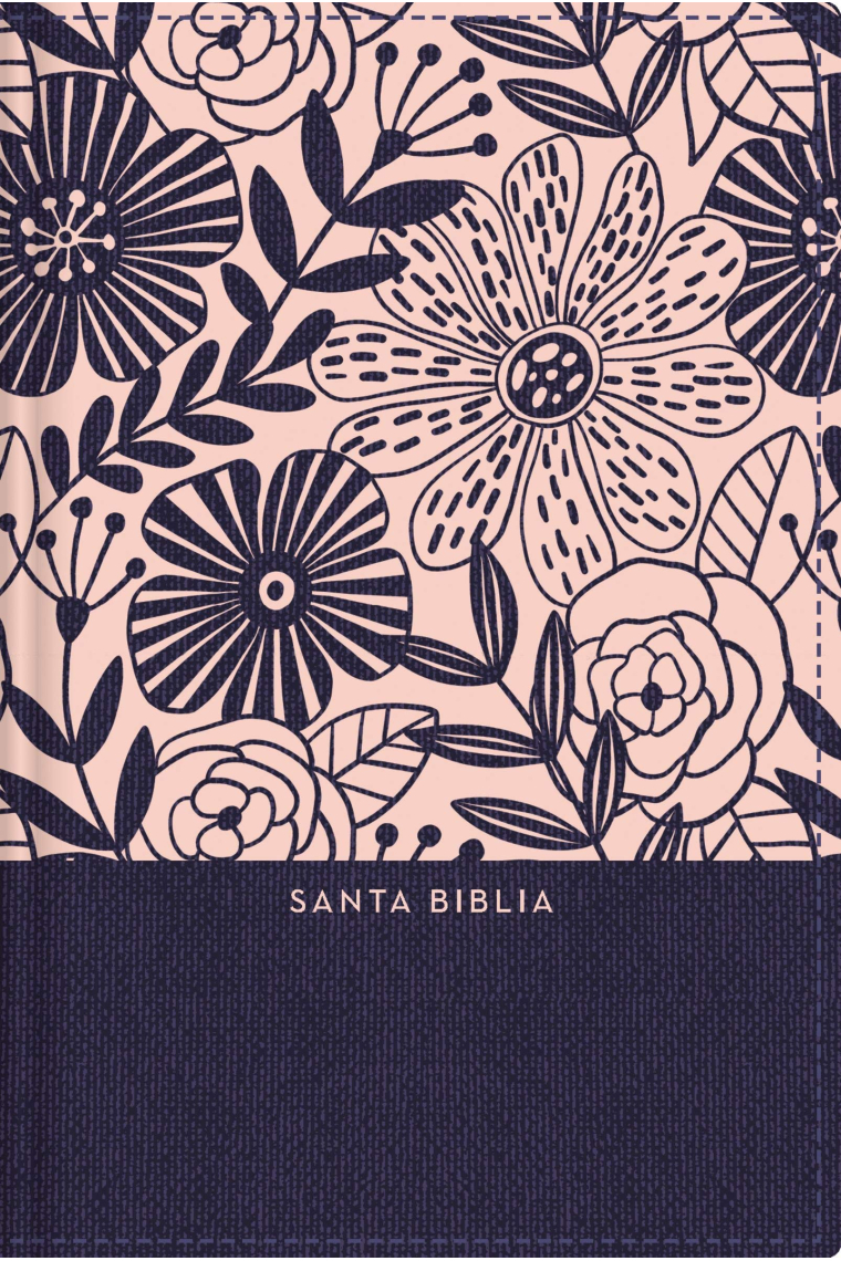 Santa Biblia / Holy Bible (Reina Valera 1960)