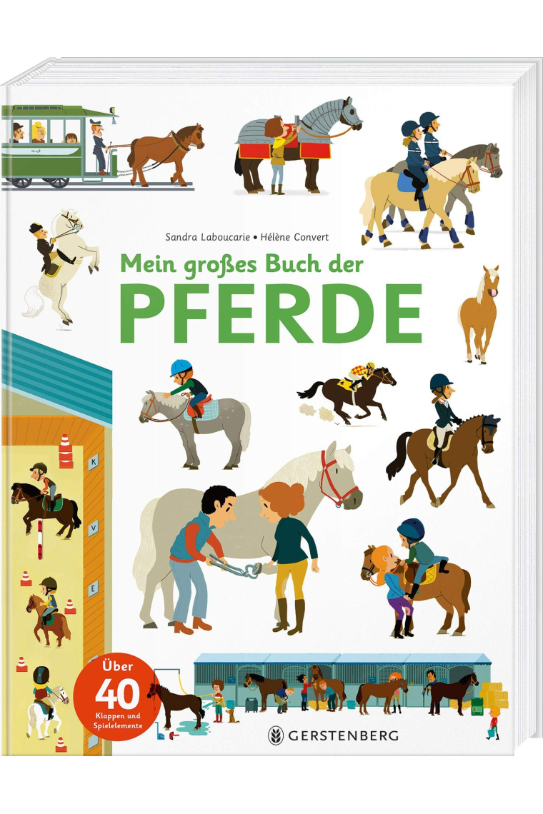 Mein großes Buch der Pferde: Über 40 Klappen und Spielelemente