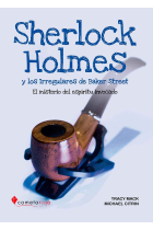 SHERLOCK HOLMES Y LOS IRREGULARES DE BAKER STREET