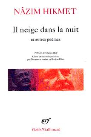 Il neige dans la nuit et autres poemes