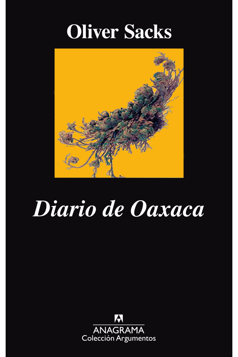 Diario de Oaxaca