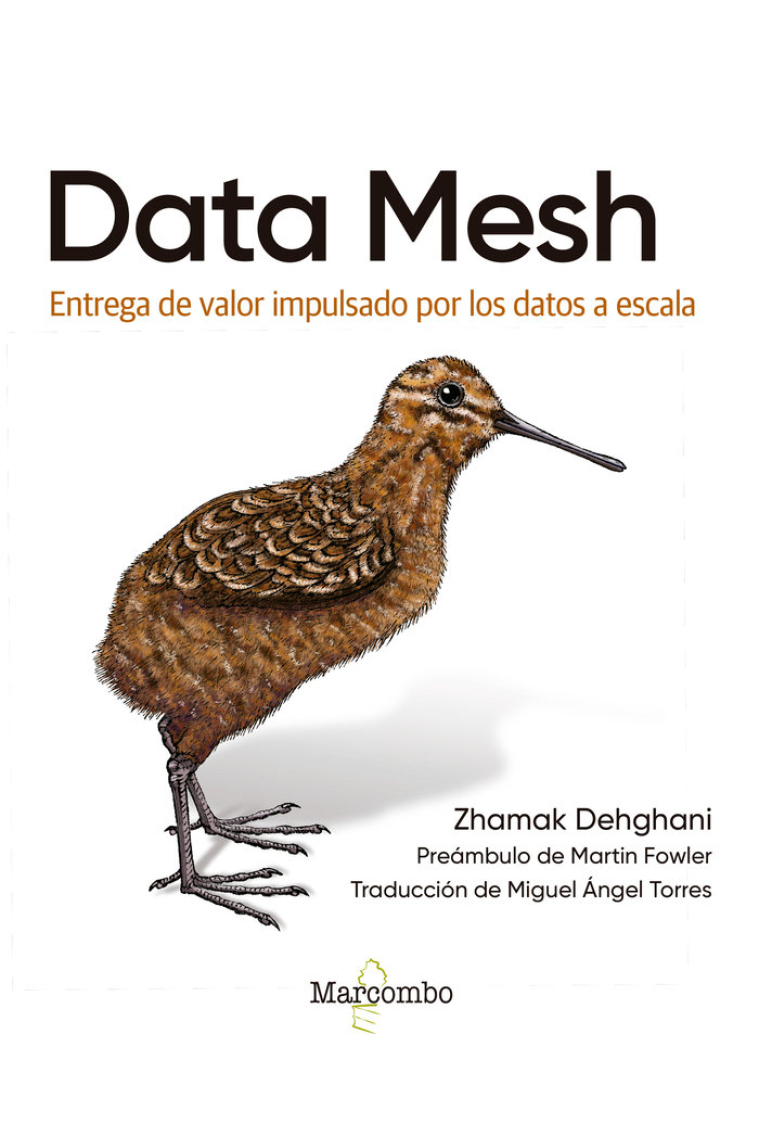 Data Mesh