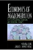 Economics of agglomeration. Cities,industrial location and regional growth