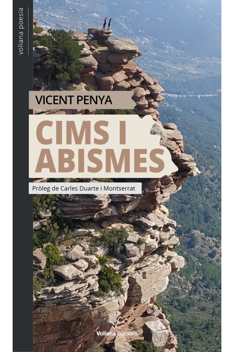 Cims i abismes