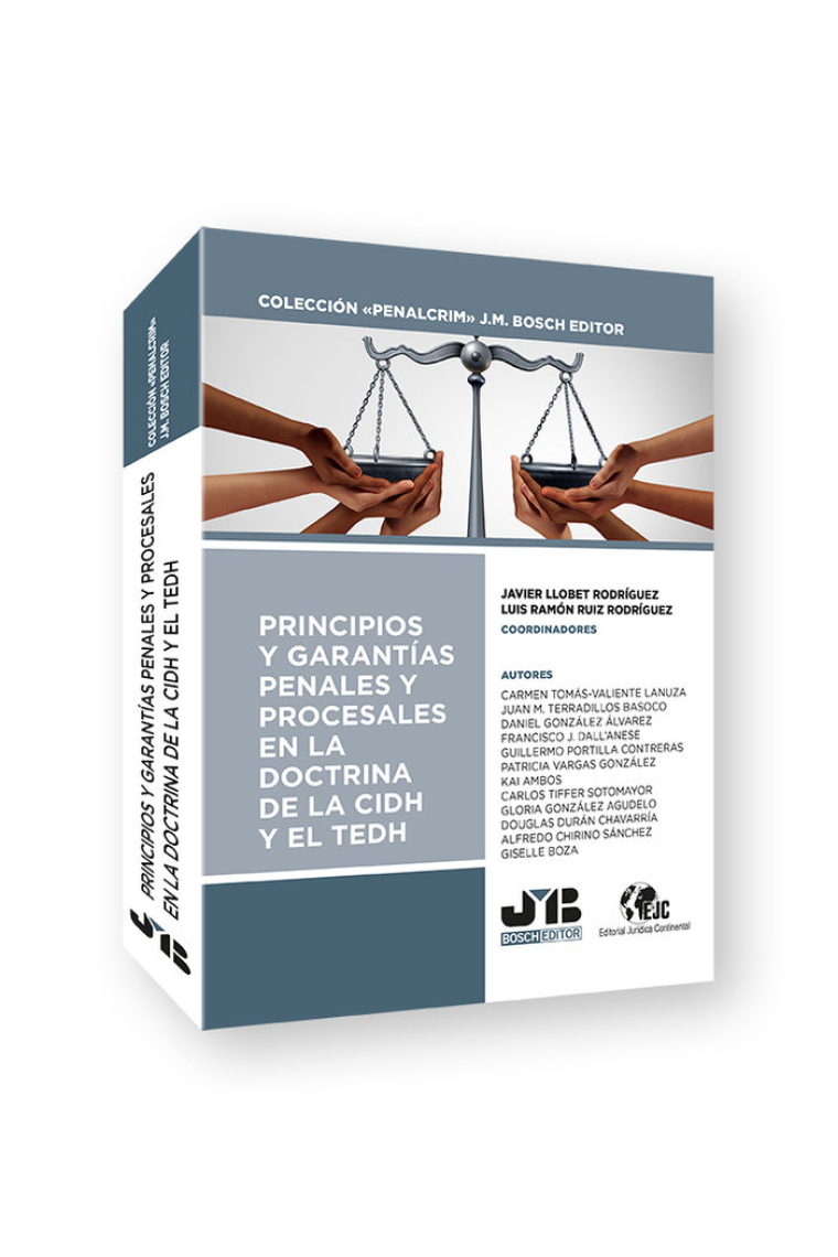 PRINCIPIOS Y GARANTIAS PENALES Y PROCESALES EN LA DOCTRINA D