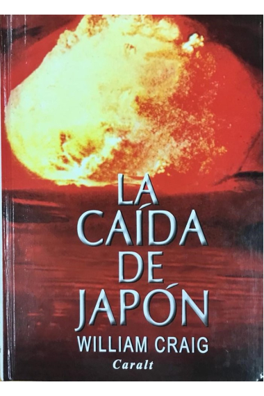 CAIDA DE JAPON