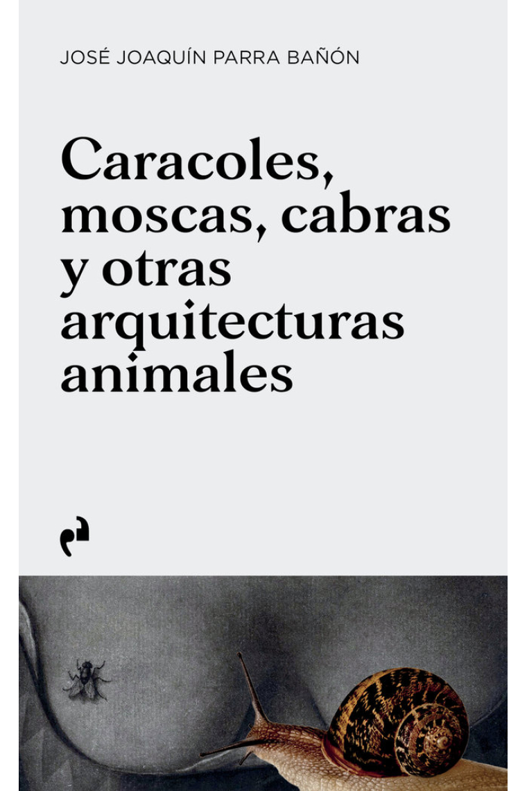 Caracoles, moscas, cabras y otras arquitecturas animales