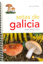 Setas de Galicia