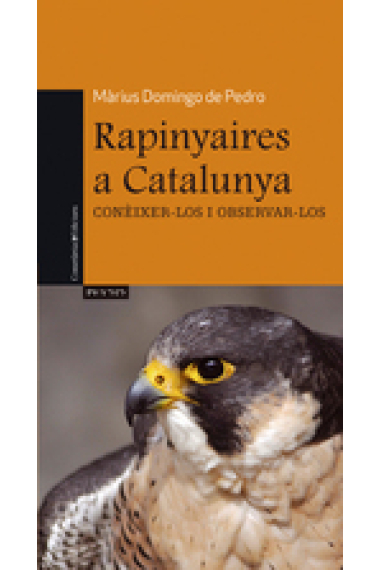 Rapinyaires a Catalunya