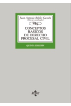 Conceptos básicos de derecho procesal civil