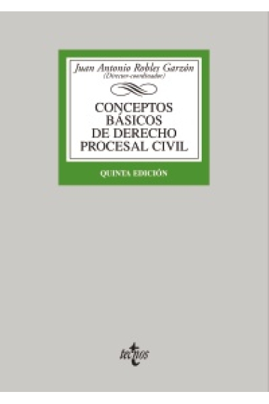 Conceptos básicos de derecho procesal civil