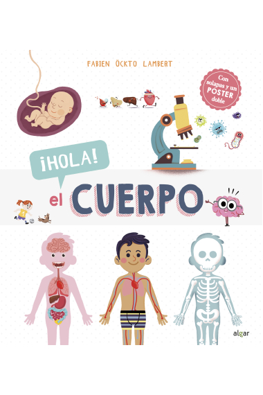 Hola! El cuerpo