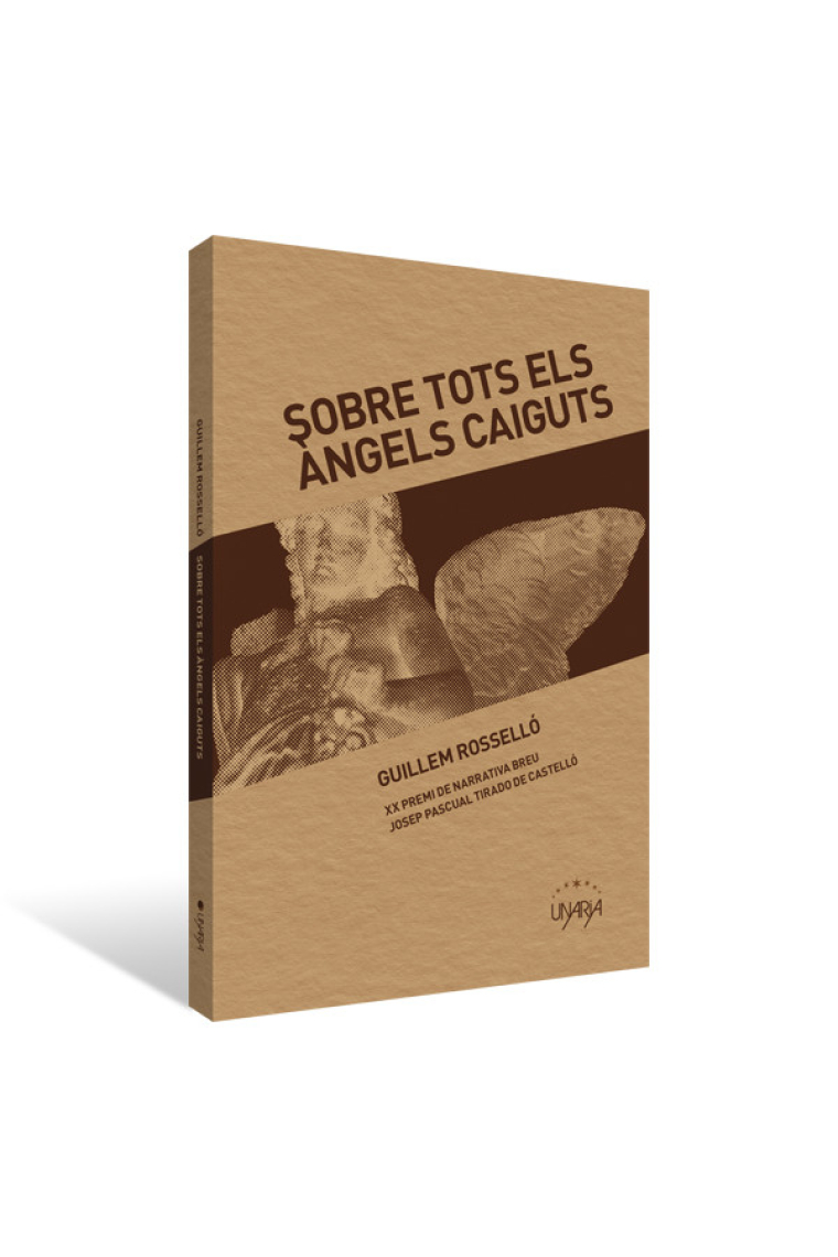 Sobre tots els àngels caiguts