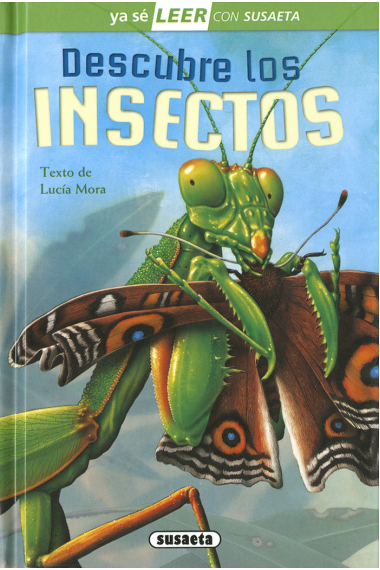 Descubre los insectos