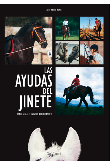 Las ayudas del jinete